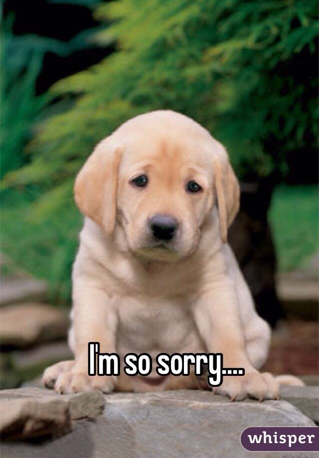 I'm so sorry....