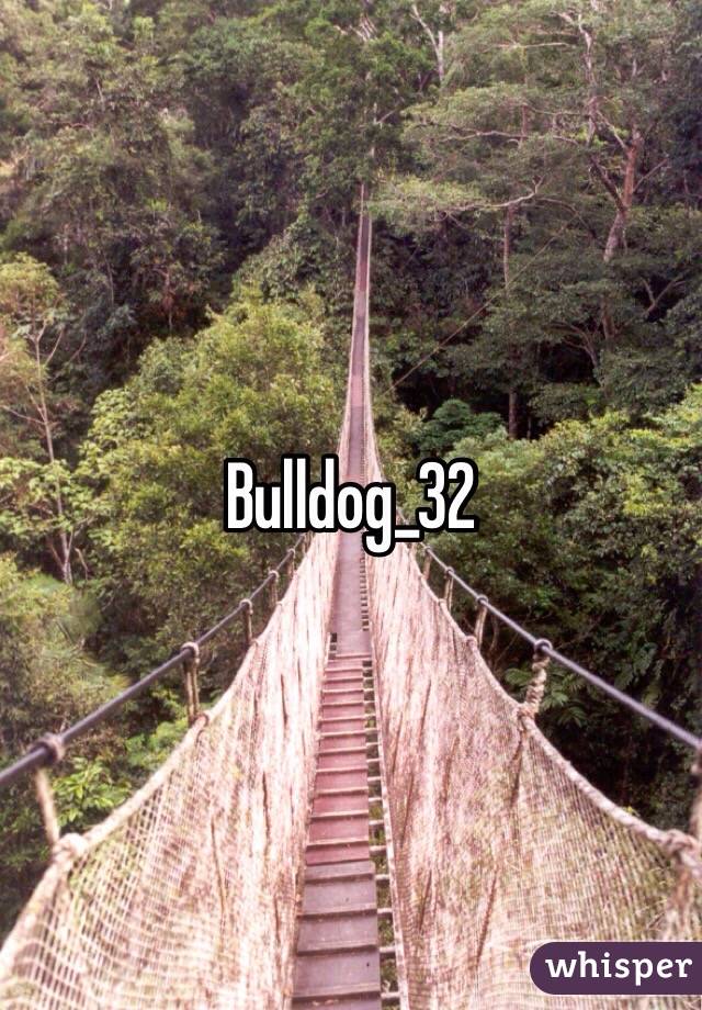 Bulldog_32