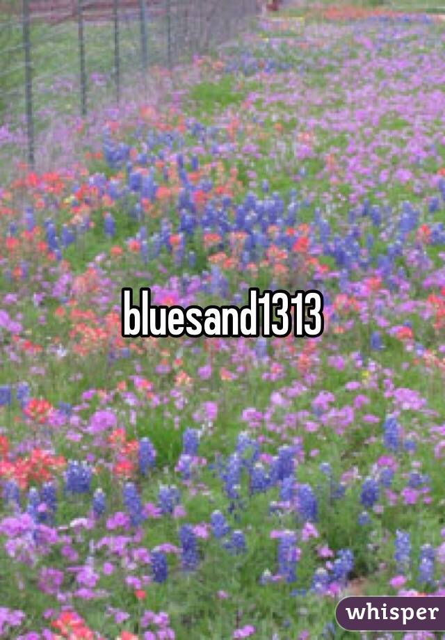 bluesand1313