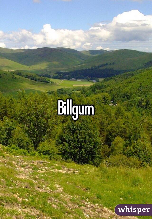 Billgum 