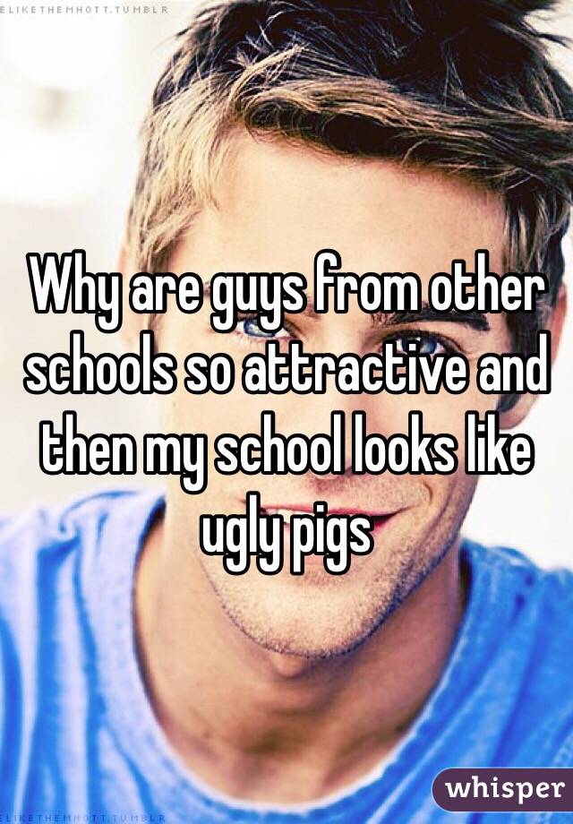 Why are guys from other schools so attractive and then my school looks like ugly pigs 