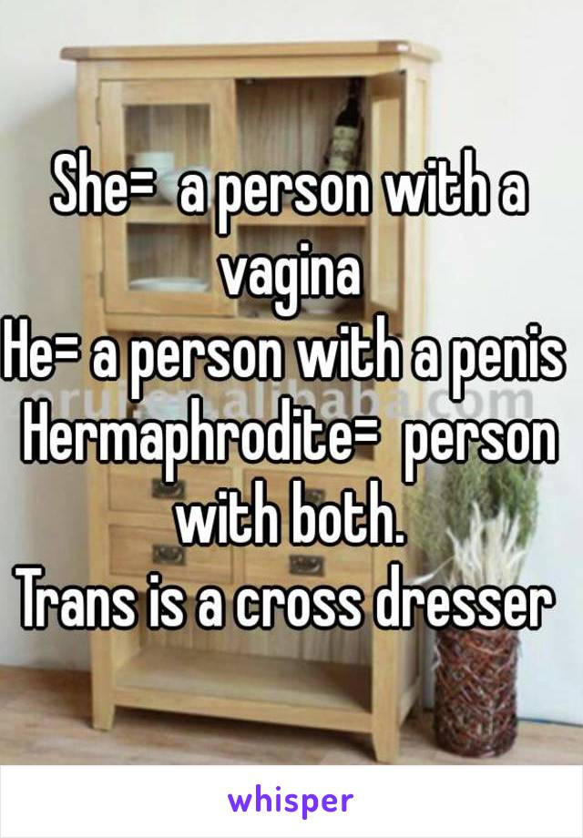 She=  a person with a vagina 
He= a person with a penis 
Hermaphrodite=  person with both. 
Trans is a cross dresser 
