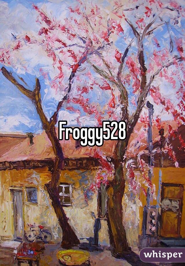 Froggy528
