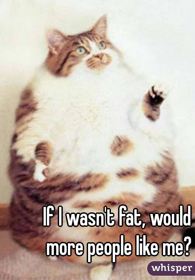 If I wasn't fat, would more people like me?