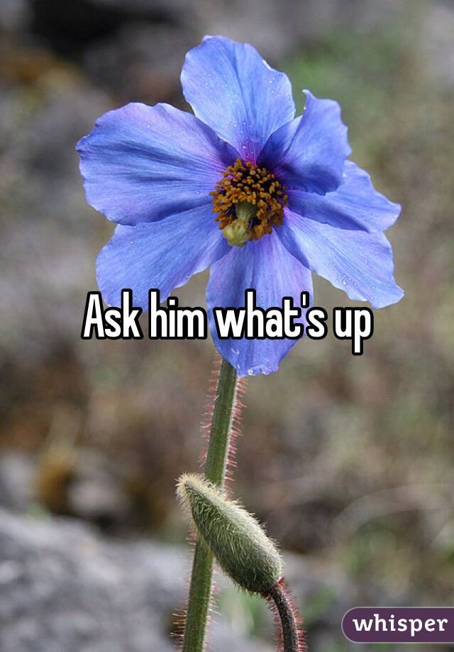 Ask him what's up