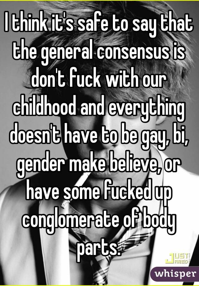 I think it's safe to say that the general consensus is don't fuck with our childhood and everything doesn't have to be gay, bi, gender make believe, or have some fucked up conglomerate of body parts.