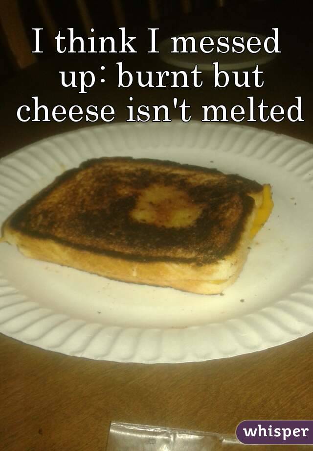 I think I messed up: burnt but cheese isn't melted