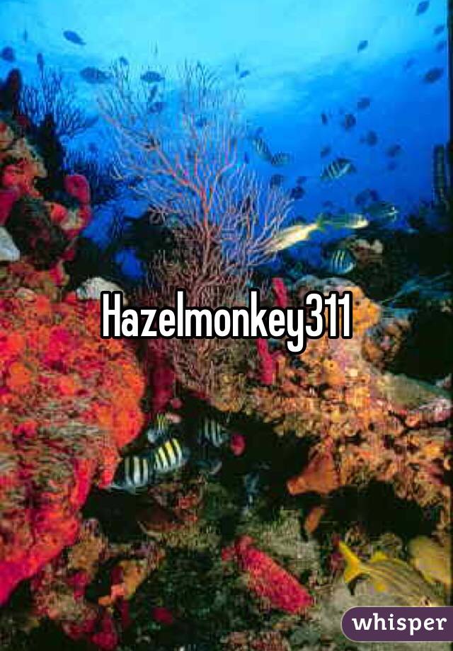 Hazelmonkey311