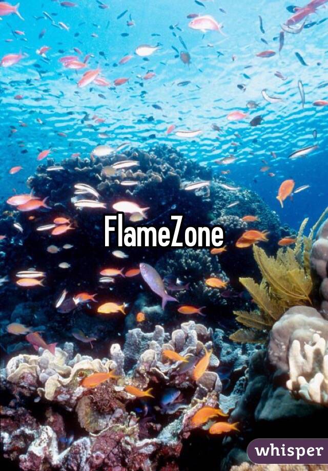 FlameZone