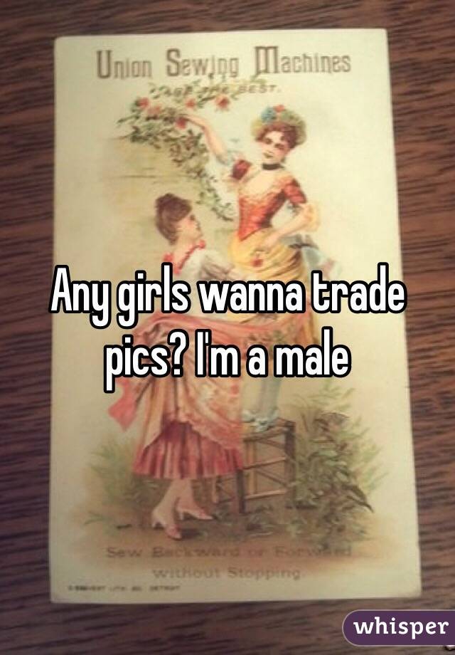 Any girls wanna trade pics? I'm a male