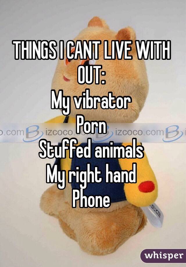 THINGS I CANT LIVE WITH OUT: 
My vibrator 
Porn
Stuffed animals 
My right hand 
Phone
