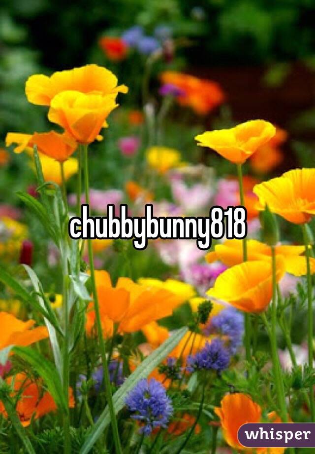 chubbybunny818