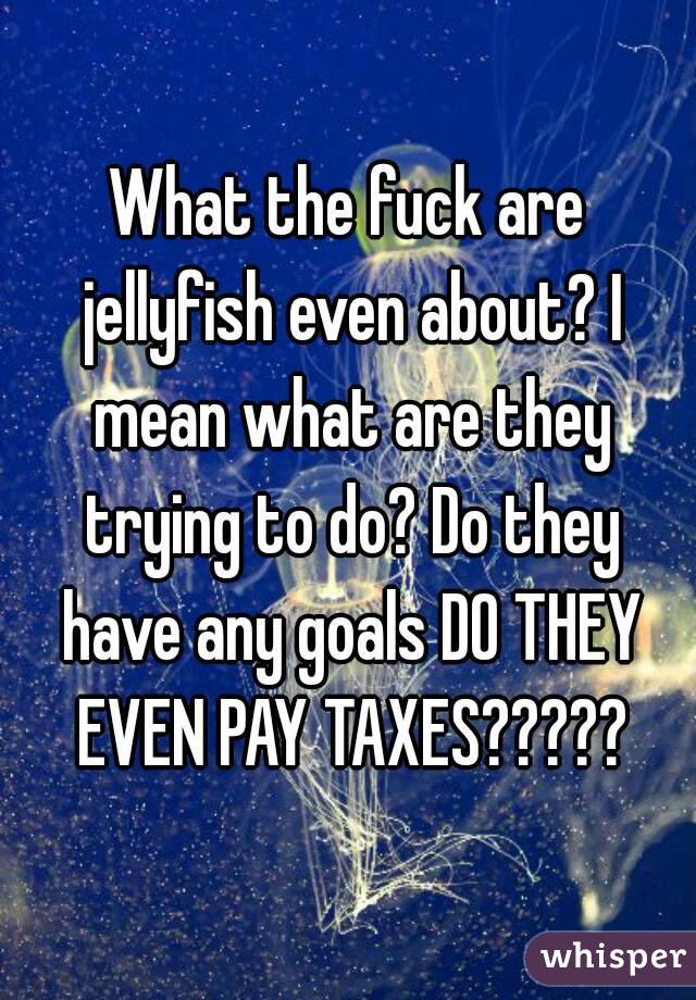 What the fuck are jellyfish even about? I mean what are they trying to do? Do they have any goals DO THEY EVEN PAY TAXES?????