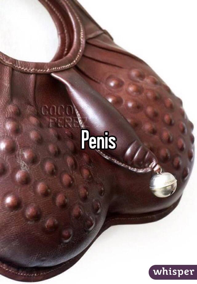 Penis