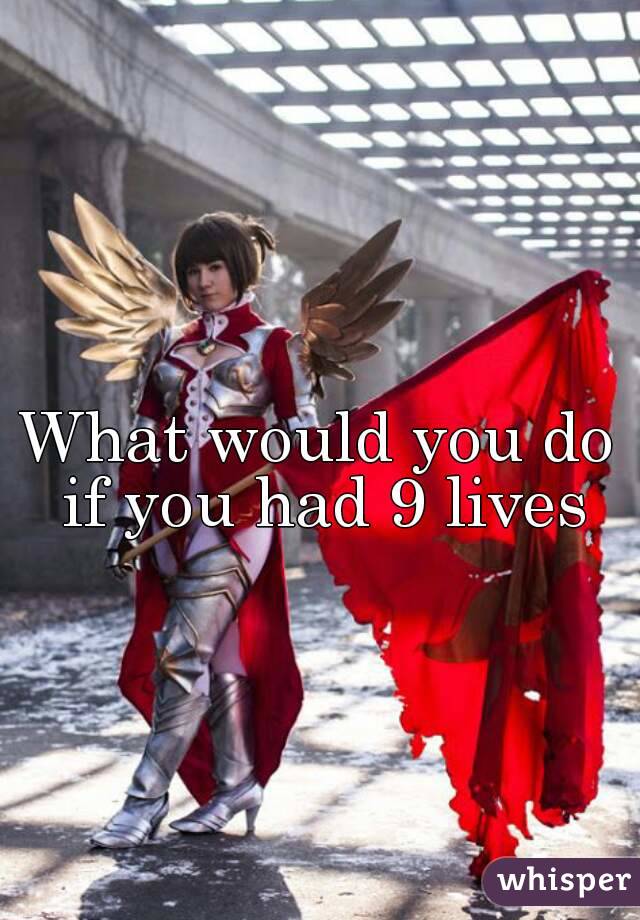 What would you do if you had 9 lives