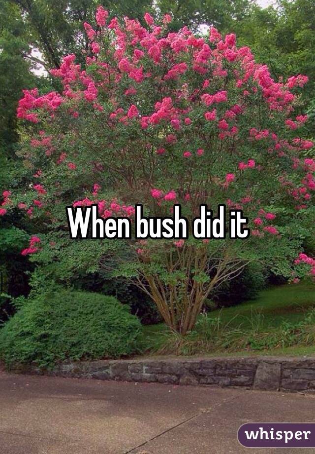 When bush did it