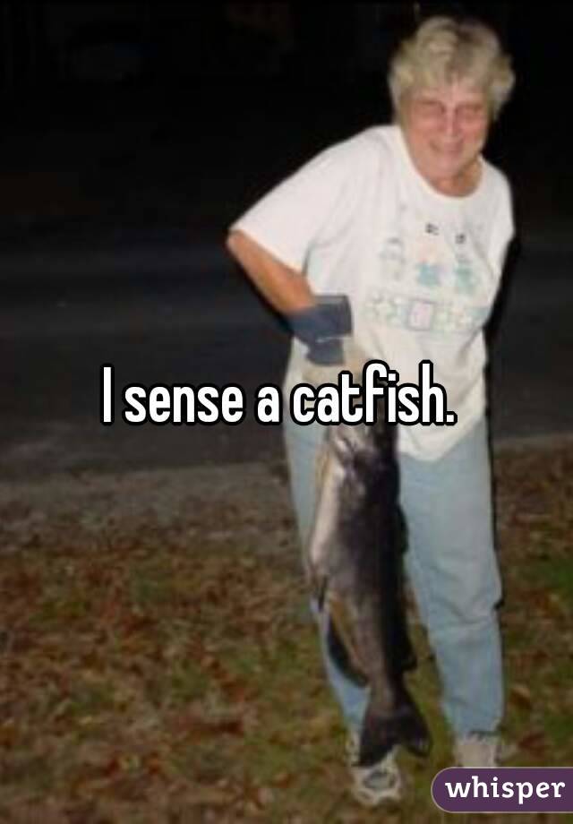I sense a catfish. 