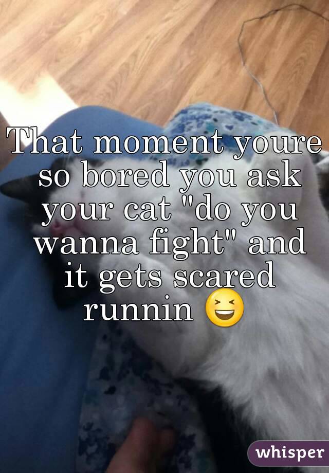 That moment youre so bored you ask your cat "do you wanna fight" and it gets scared runnin 😆 