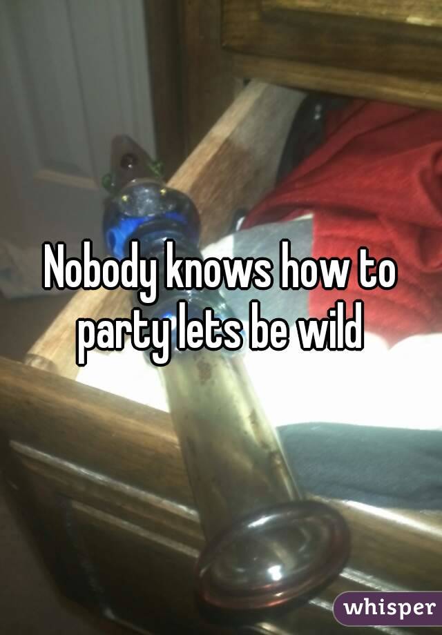 Nobody knows how to party lets be wild
