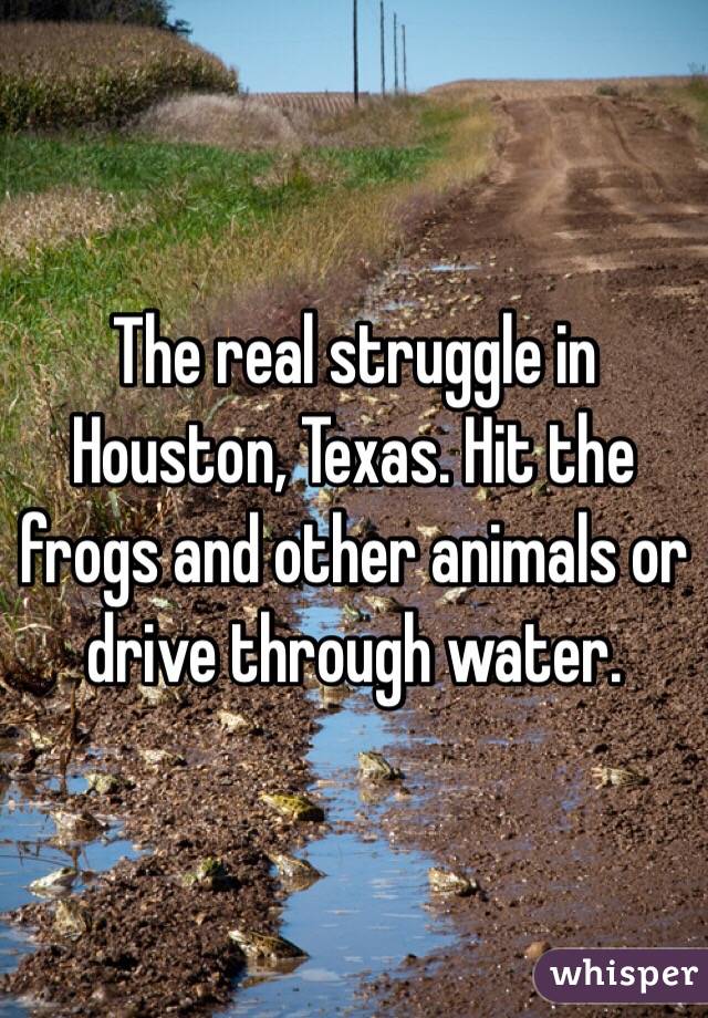 The real struggle in Houston, Texas. Hit the frogs and other animals or drive through water.
