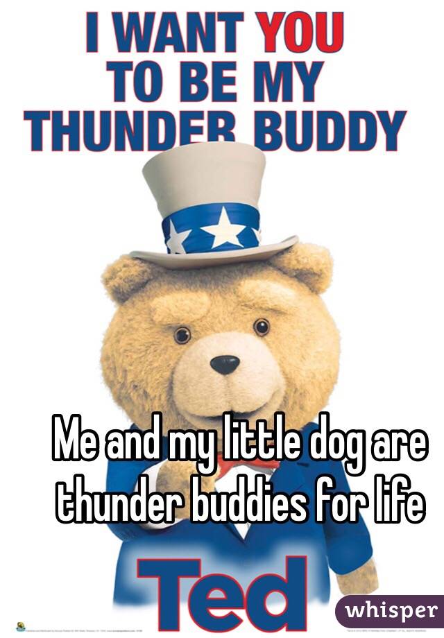 Me and my little dog are thunder buddies for life