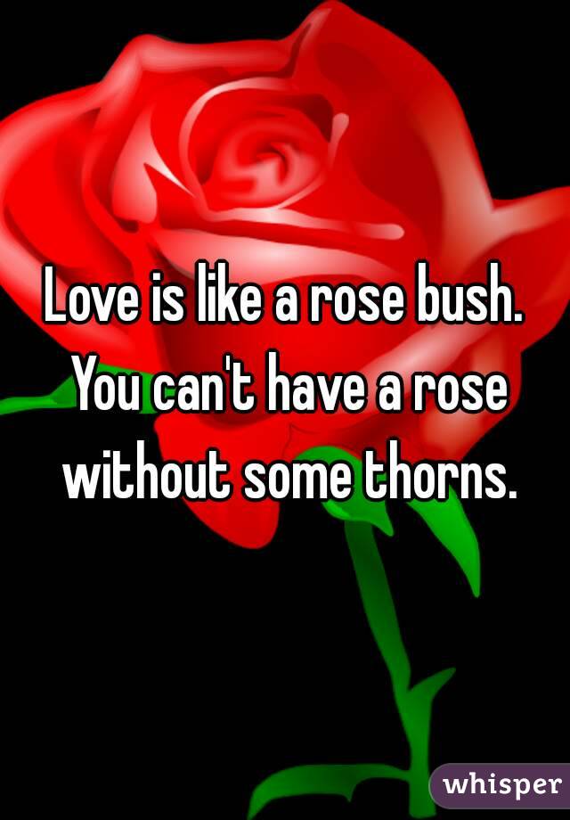 Love is like a rose bush. You can't have a rose without some thorns.