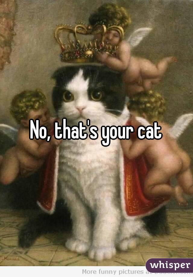 No, that's your cat
