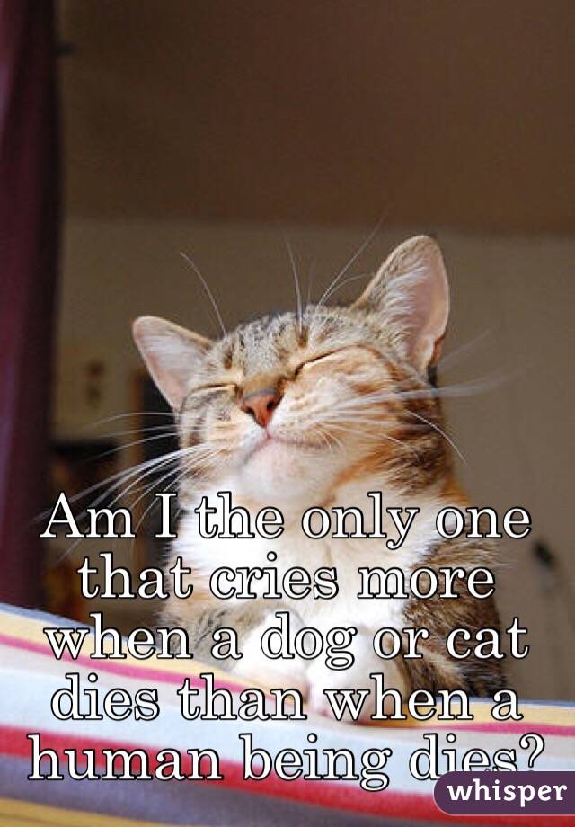 Am I the only one that cries more when a dog or cat dies than when a human being dies? 
