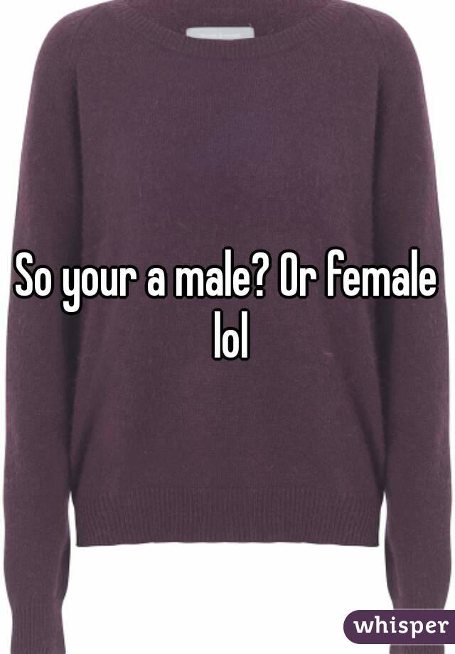 So your a male? Or female lol