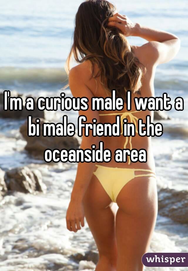 I'm a curious male I want a bi male friend in the oceanside area
