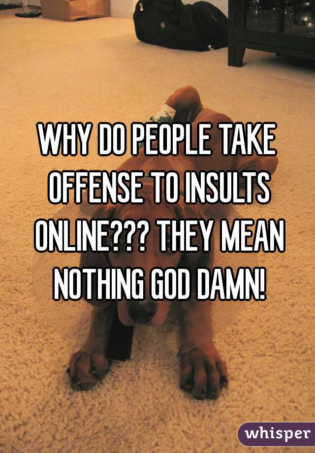 WHY DO PEOPLE TAKE OFFENSE TO INSULTS ONLINE??? THEY MEAN NOTHING GOD DAMN!