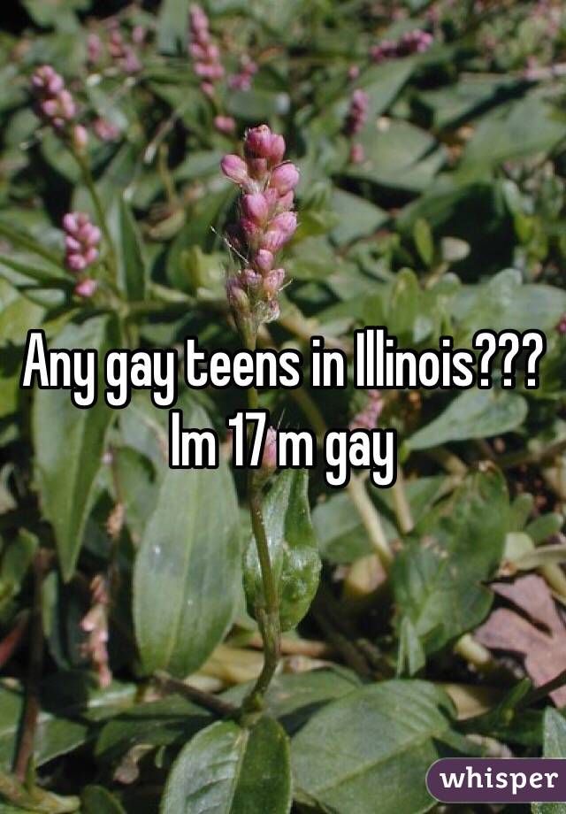 Any gay teens in Illinois??? Im 17 m gay 