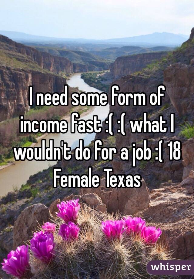 I need some form of income fast :( :( what I wouldn't do for a job :( 18 Female Texas 