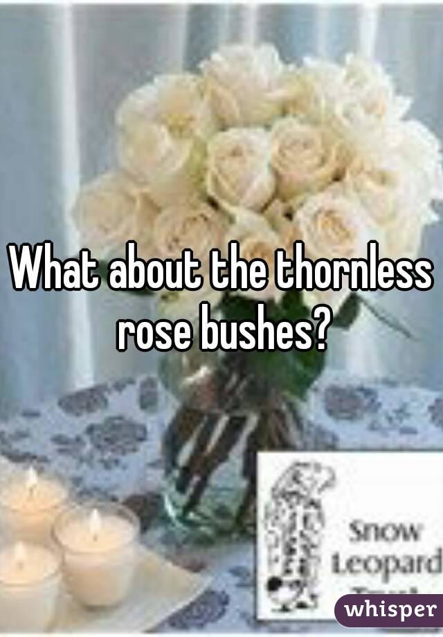 What about the thornless rose bushes?