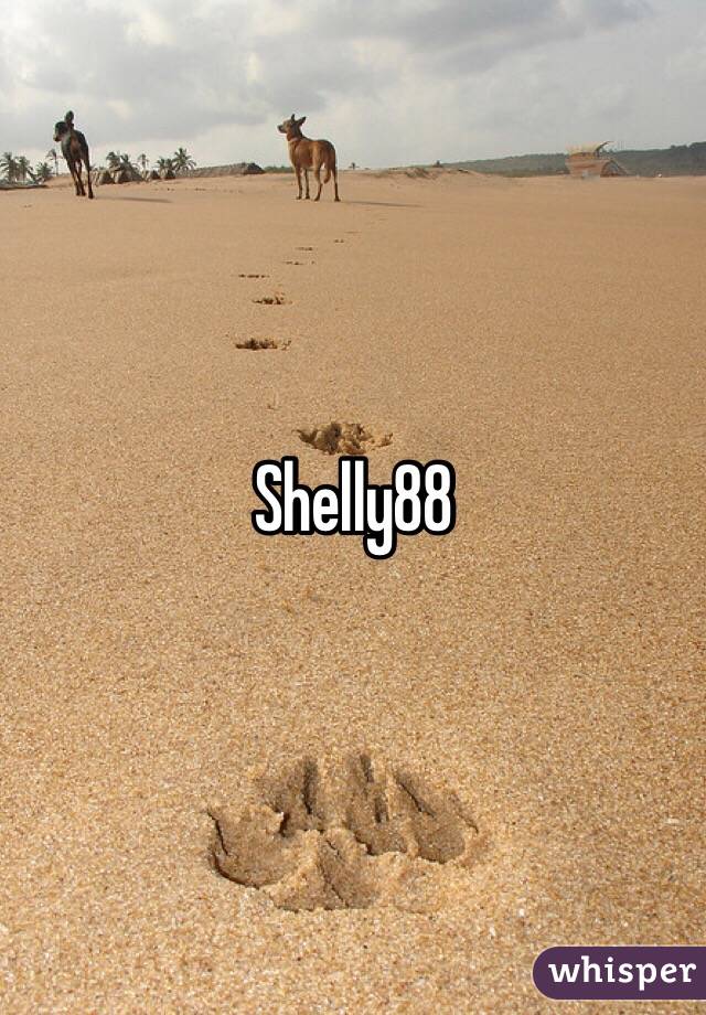 Shelly88