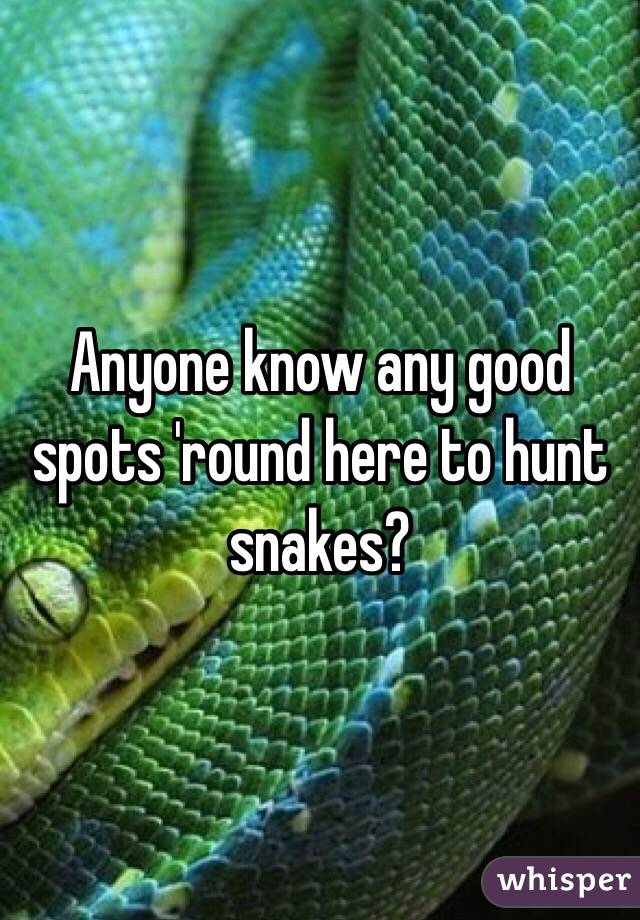 Anyone know any good spots 'round here to hunt snakes?
