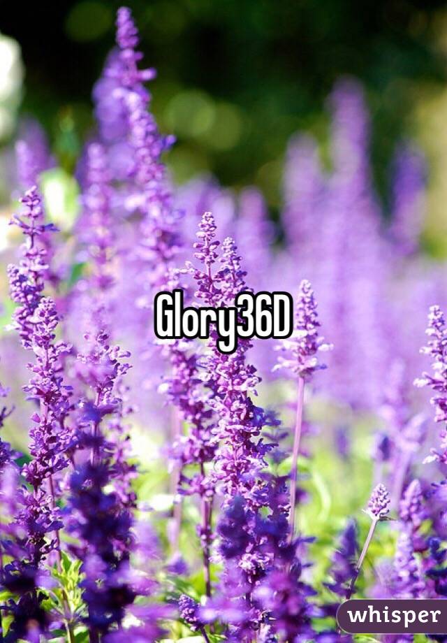 Glory36D