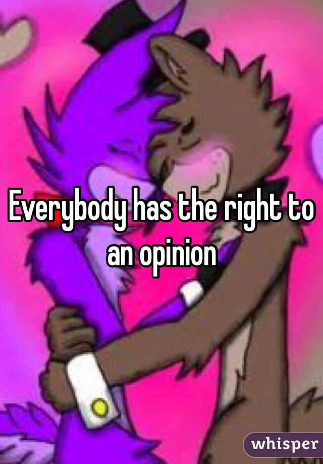 Everybody has the right to an opinion 