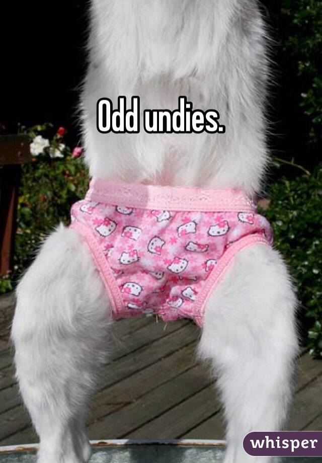 Odd undies. 