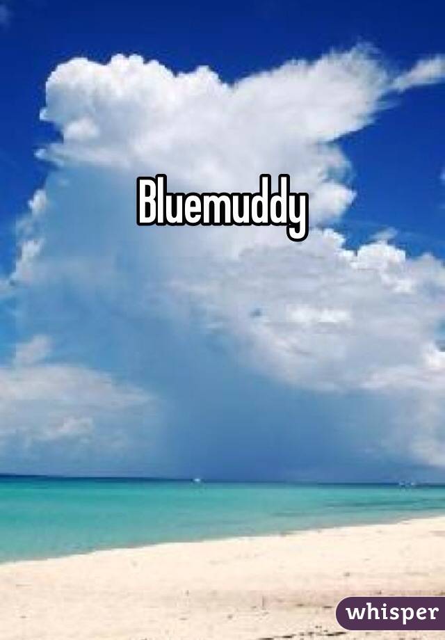 Bluemuddy