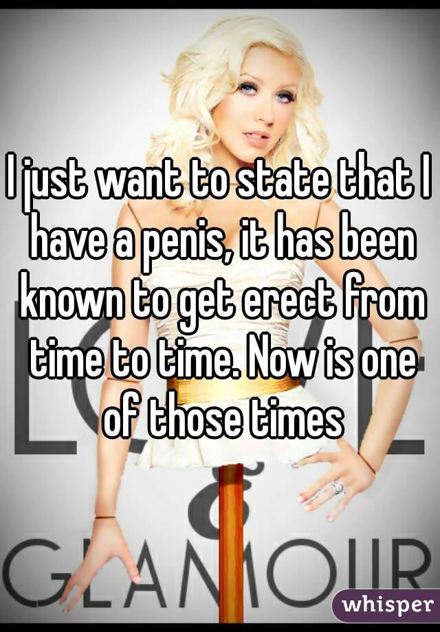 I just want to state that I have a penis, it has been known to get erect from time to time. Now is one of those times
