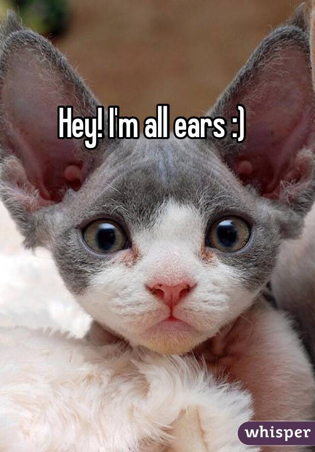 Hey! I'm all ears :)