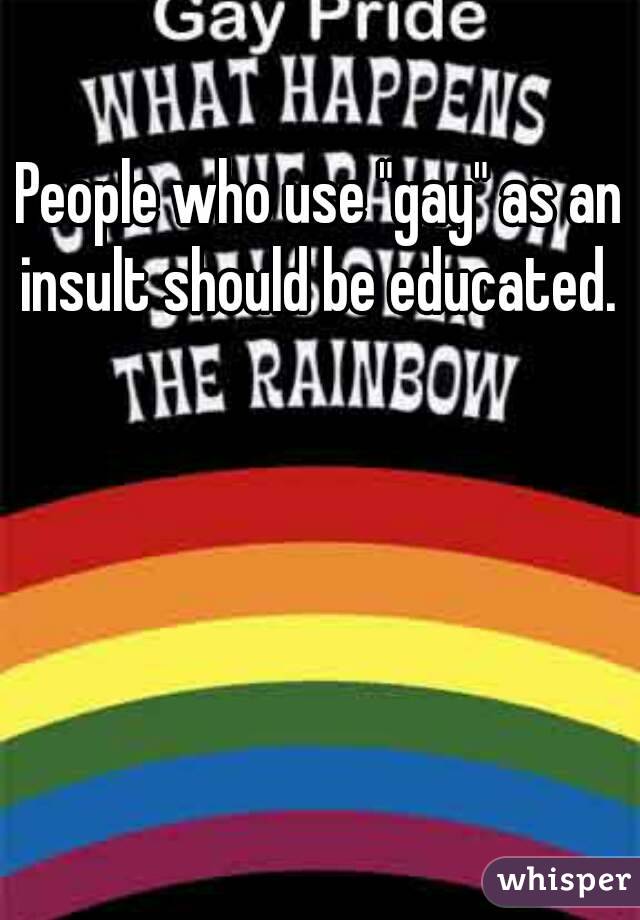 People who use "gay" as an insult should be educated. 