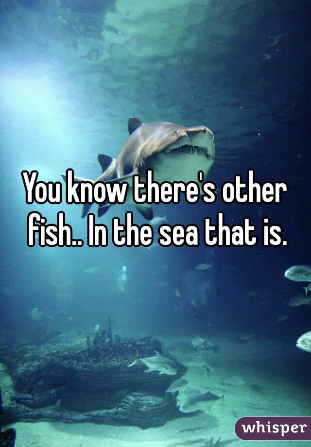 You know there's other fish.. In the sea that is.