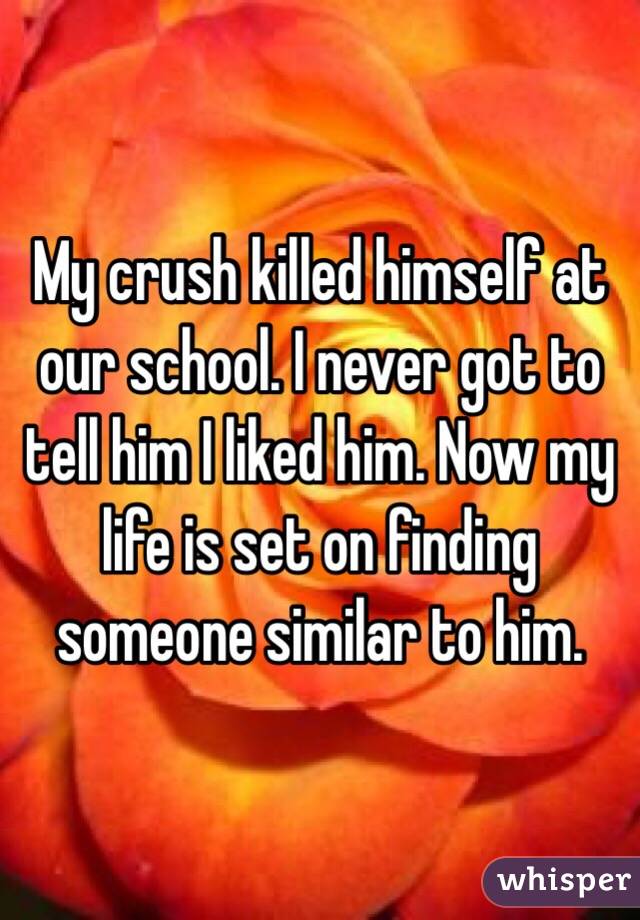 My crush killed himself at our school. I never got to tell him I liked him. Now my life is set on finding someone similar to him.