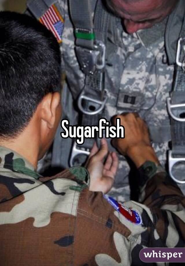 Sugarfish 