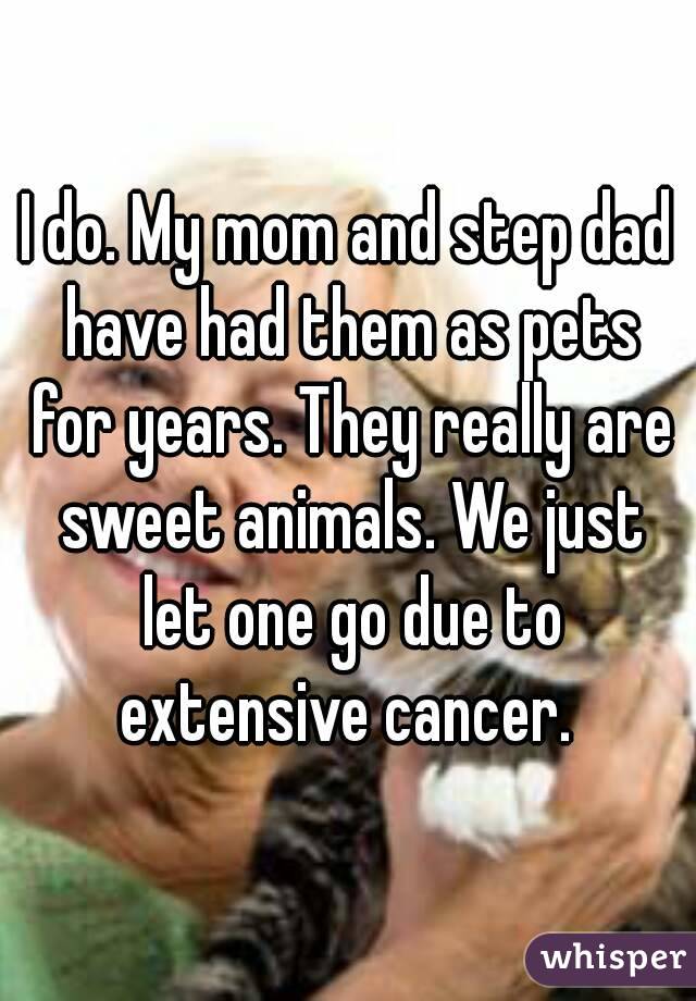 I do. My mom and step dad have had them as pets for years. They really are sweet animals. We just let one go due to extensive cancer. 