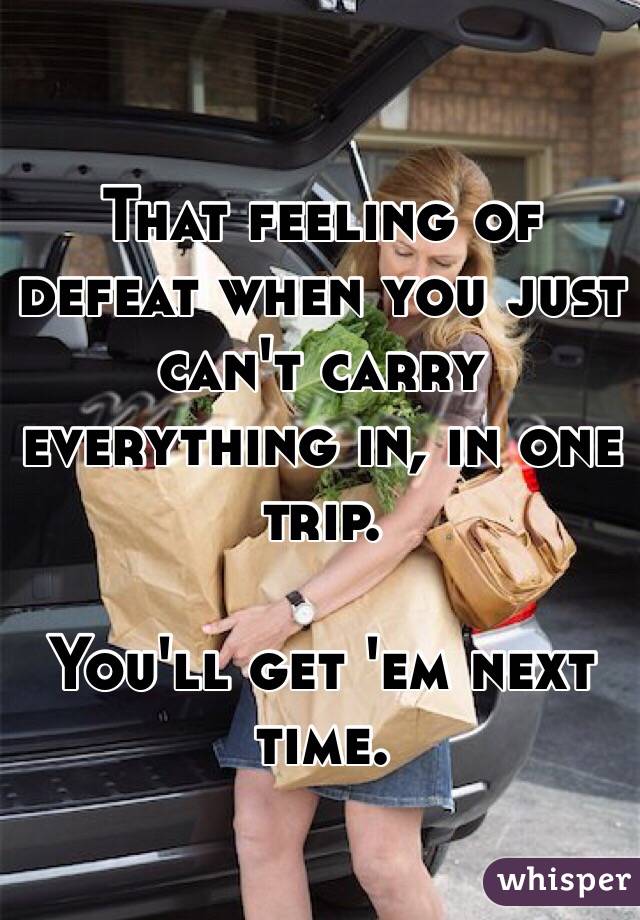 That feeling of defeat when you just can't carry everything in, in one trip.

You'll get 'em next time.