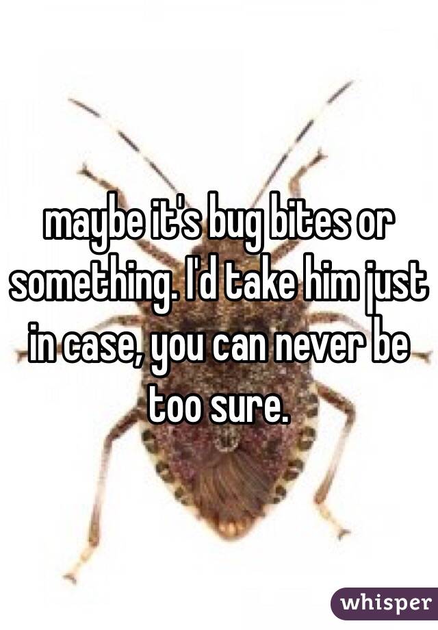 maybe it's bug bites or something. I'd take him just in case, you can never be too sure.