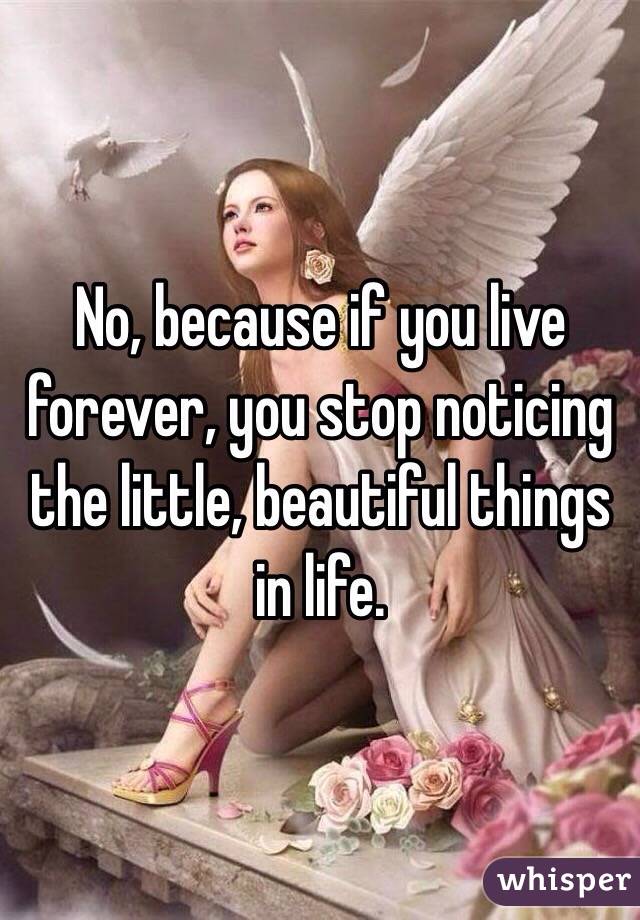 No, because if you live forever, you stop noticing the little, beautiful things in life.